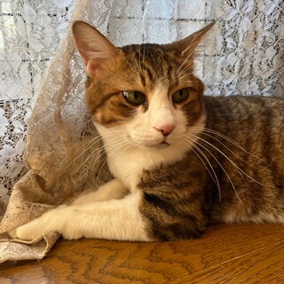 みんなのお兄さん的存在の「ユータ」くん