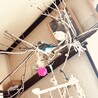 枝をはわせて花鳥風月