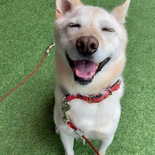 とても活発で人が大好きなパッチリお目目の陽太君