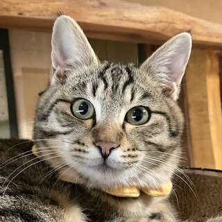 生後4ヶ月、兄妹で幸福（ゆき・ふく）です♡