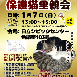 ひたちまちにゃか保護猫里親会