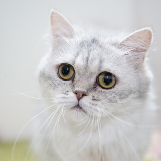 募集を中止にさせて頂きました。申し訳ございません。