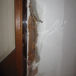 やられました２