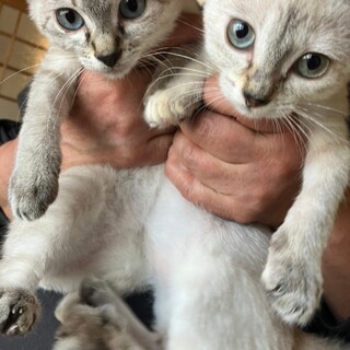 仲良し姉妹　3ヶ月