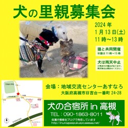 『犬の合宿所in高槻』の里親募集会