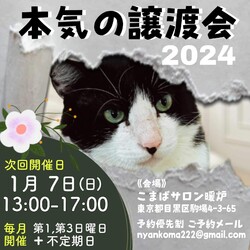 本気の譲渡会 サムネイル1