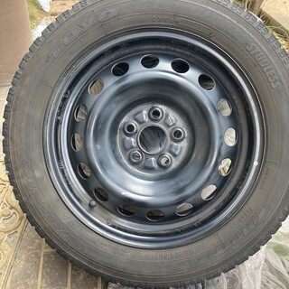 仔犬純血甲斐犬