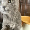 kirioくん