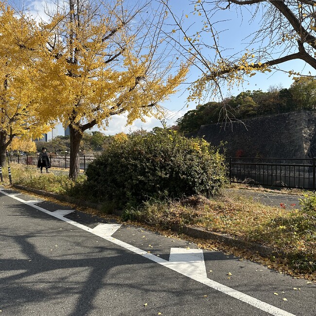 ぱふぃんのカバー写真