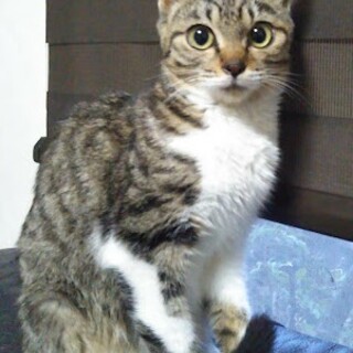 初心者さんでもOKきくちゃん