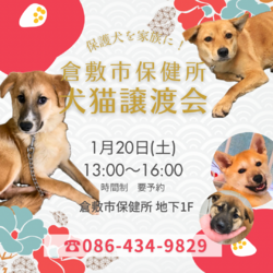 倉敷市保健所　収容犬猫譲渡会