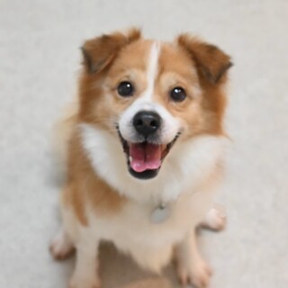 元気いっぱい！性格もとびきり可愛い男の子♡