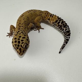 ご応募いただきありがとうございました。