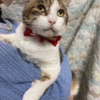 人間大好き♪超甘えん坊の男の子