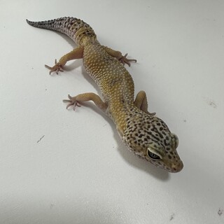 ご応募いただきありがとうございました。