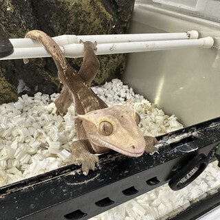 ご応募いただきありがとうございました