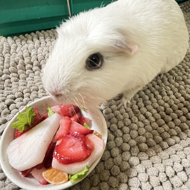nana1228のカバー写真