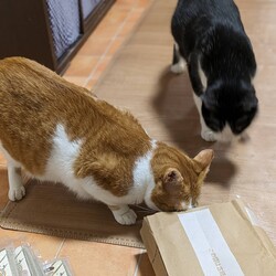 これ何？こうた君興味津々