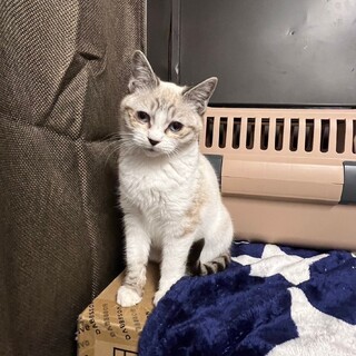 うにちゃんはちゃんと目を見てお話できる子。