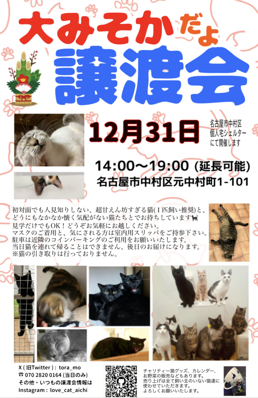 大みそかだよ！譲渡会」（保護猫の家にゃご庵のイベント #21149