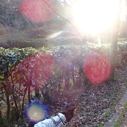 「七年目」サムネイル2