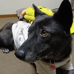 「七年目」サムネイル3