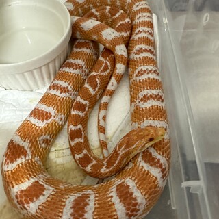 ご応募いただきありがとうございました。