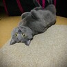その目は何を？