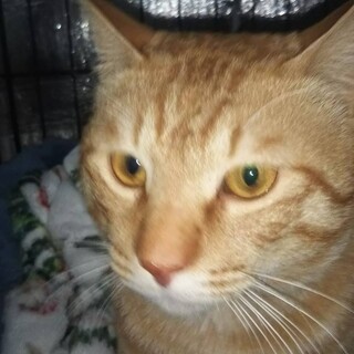 〝茶太郎君〟です♪