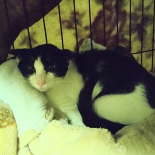 サラミのトライアルＯＫ！