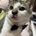 【里親さま決定】甘えん坊の男の子