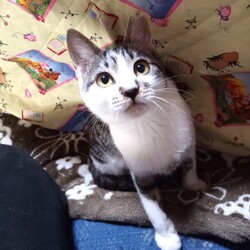 「明けましておめでとうございます。」サムネイル1