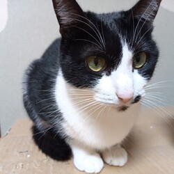 「明けましておめでとうございます。」サムネイル2