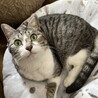 コララ
