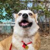 募集一時停止中ルチさん サムネイル6