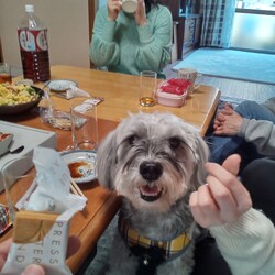 団らん年末年始