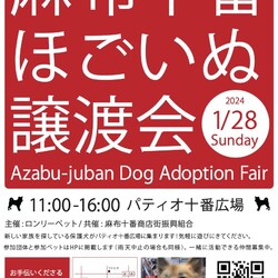 麻布十番ほごいぬ譲渡会