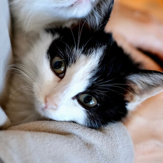 アロイ♡家族ができました