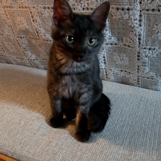 可愛い甘えん坊さん。