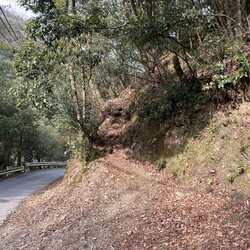 山中猫、里親希望者見つかったのに、、、