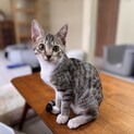 お口が恋人の梅子ちゃん