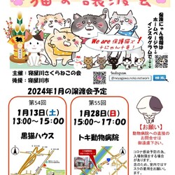 【子ねこ多数】保護猫譲渡会@大阪寝屋川市