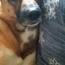 「初めての地震」サムネイル2