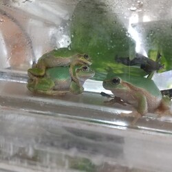 「初めての地震」サムネイル3