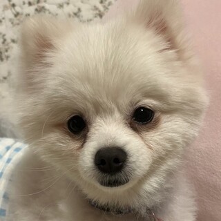 大きな手術頑張りました！元気いっぱい明るい男の子