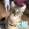 食いしん坊 大樹くん(たいじゅ) サムネイル5