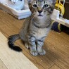 食いしん坊 大樹くん(たいじゅ) サムネイル6