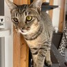 食いしん坊 大樹くん(たいじゅ) サムネイル7