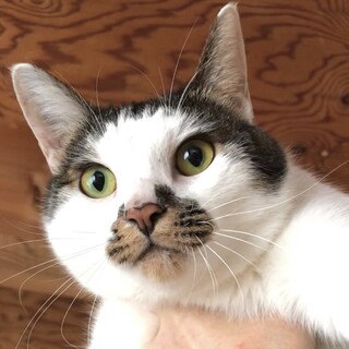 【お見合随時】奔放で自由な性格マイペース女子