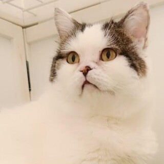 性格の良さ満点